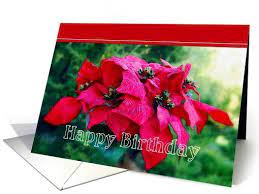 Poinsettia December Birth Flower Birthday Card December Birth Flower Flower Birthday Cards Birthday Flowers
