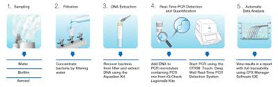 Legionella are waterborne bacteria that can proliferate under favourable conditions (temperatures between 25 and 50° celsius) in drinking water installations in buildings or in. A Complete Solution For Legionella Testing Fsd Bio Rad