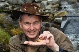 Golf ball-sized pure gold nugget is 'biggest ever found in UK waters'