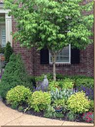 Small Front Yard Foundation Planting Evergreen Shrubs Ornamental Tree And P Evergreen Landscape Front Yard Front Yard Landscaping Design Evergreen Landscape