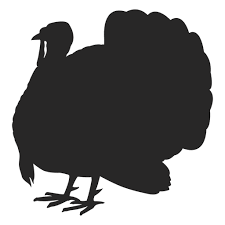Download Turkey Standing Silhouette Transparent Png Svg Vector File