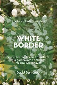 Small oval bud vase for dried flowers | minimalist glossy ceramic | natural white round bud vase|. White Garden The Best Plants To Create A White Border