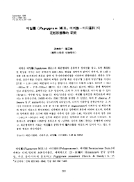 Image result for Fagopyrum snowdenii