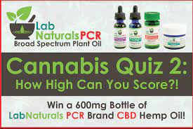 Take our hemp quiz to see how much you truly know about this. Cannabis Quiz 2 The Sequel Blogh