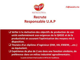 Recrutement Excelo 5 Profils In 2020