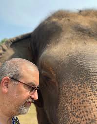 When you know, you know: pursuing a creative career