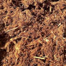45 results for gorilla hair mulch. Redwood Bark Gorilla Hair Bee Green Recycling Supply Oakland Ca