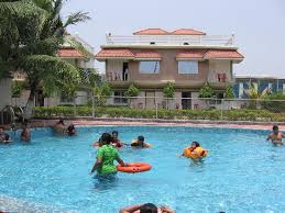 Our newest neighbors that are nesting in the back yard. Sea Bird Swimming Pool Picture Of Hotel Sea Bird International Falta Tripadvisor
