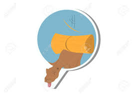 It refers to loading a camel to bear weight. A Straw That Broke A Camel S Back Royalty Free Cliparts Vectors And Stock Illustration Image 66062069