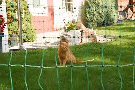 Katzenschutzzaun Grun Komplettset Katze Zaun Katzen Grun