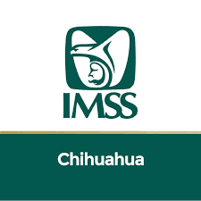 Imss Chihuahua Home Facebook