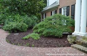 There is lots of knowledge to serve. Transplanting A Waterfall Japanese Maple Between Naps On The Porch