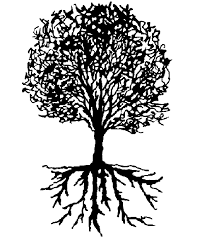 Who Did You Know Family Tree Images Tracing Art Family Tree