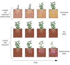 Image result for Resource Limited Environment