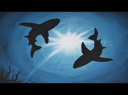Acrylic Painting On Canvas Shark Infestation Shark Painting Acrylic Painting Canvas Silhouette Painting