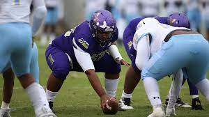Mustaffa Ibrahim Football Alcorn State University Athletics