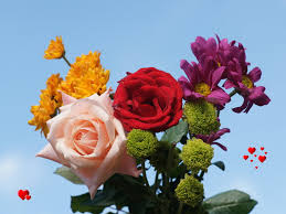 Heart two hands red sky i. Beautiful Love Flowers Wallpapers