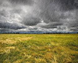Der Siebenschlafer Tag Und Das Wetter Siebenschlafer Wetter Wasser