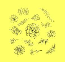 Free for commercial use high quality images Black And White Floral Pattern With Transparent Background Digital Art By Ali Baucom