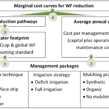 Flow Chart For Developing Marginal Cost Curves For Crop