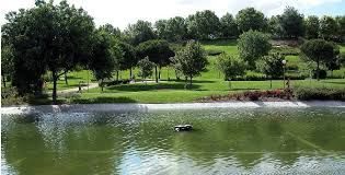 Image result for parque