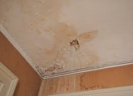 If you are a homeowner that recently found. What Does Basement Mold Look Like Basement Waterproofing Inc