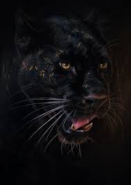Set On Behance Big Cats Art Black Panther Cat Leopard Art