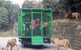 This Zoo In China Locks People In Cages Instead Of Animals Animals Zoo Funny Pictures