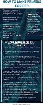Sasaran primer dalam promosi kesehatan adalah masyarakat pada umumnya. Cara Membuat Primer Untuk Pcr 2021 Berita
