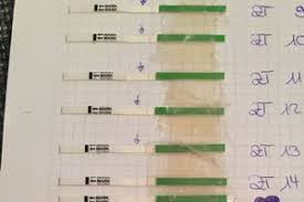 Eine testlinie und eine kontrolllinie. Ovu Immer Leicht Positiv Auch Nach Es Forum Kinderwunsch Urbia De