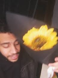 Hassan Amer (@hassanamerz)