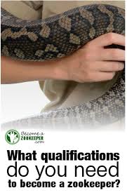 Essential Information For Wannabe Zoo Keepers Zoo Keeper Zoo Keeper Jobs Vet Medicine