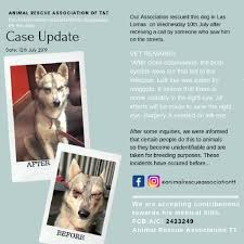 Injured Alone And Scared Citizens Search For Stray Dog In Arima Loop News Showing the relationships between animal welfare and the sustainable development goals helps there are currently 169 targets and there is a complex network of interactions between them. citizens search for stray dog in arima