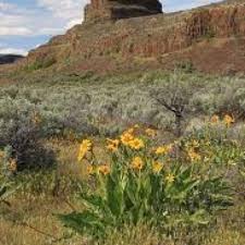 Eastern washington is the home of the high desert. The Scablands Of Central Washington Beautiful And Desert Like Evergreen State Washington State Natural Landmarks