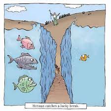Pin On Funnies