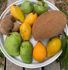 Image result for Sapotaceae