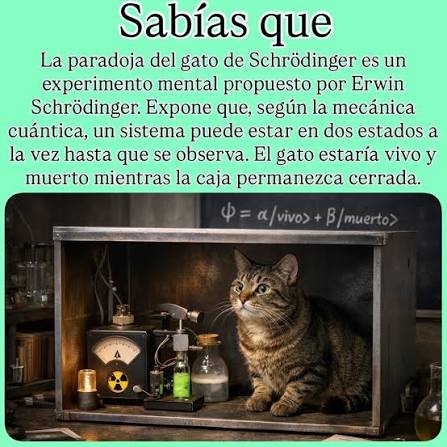 La paradoja del gato de Schrödinger fue propuesta en 1935 por Erwin  Schrödinger para explicar, de una forma llamativa, los problemas de la  mecánica cuántica. La idea era mostrar que las reglas