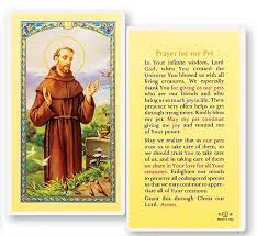 Blessed are you, lord god, and holy is your name for ever and ever. Prayer For My Pet St Francis Laminated Prayer Cards 25 Pack