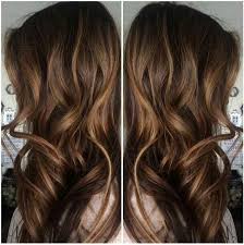 Brown Hair With Subtle Honey Caramel Highlights Hair Styles Ecaille Hair Beautiful Hair Color