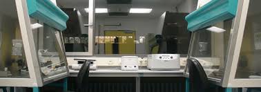 Tss is iso 9001 certified by bureau veritas, certificate no. Biosafety Cabinetry Certification Biosafety Cabinet Testing Michigan