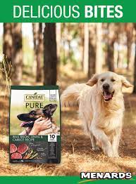 Canidae Pure Real Bison Lentil Carrot Recipe Dry Dog Food 21 Lbs Carrot Recipes Dry Dog Food Pure Products