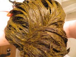 طريقة صبغ الشعر بالحناء Henna Hair Hair Hair Mask Recipe