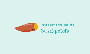 18 Weeks Pregnant Symptoms And Baby Development Pampers