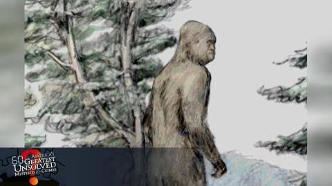 America's 60 Greatest Unsolved Mysteries & Crimes | Kanopy