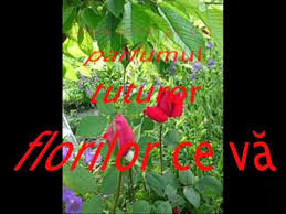 Cadoul pentru nașă de 8 martie îi va arăta aprecierea și recunoștința voastră. 8 Martie Nasa Youtube