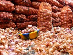 Azərbaycanda soğan ucuzlaşıb