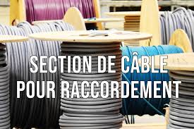 Découvrez la composition, la tension maximale supportée et des exemples d'utilisation pour chaque conducteur électrique commercialisé sur 123elec.com. Branchement Type 2 Quelle Section De Cable Comme Un Pingouin Dans Le Desert