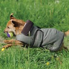 Weatherbeeta Tweed Dog Coat