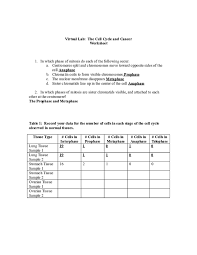 Name lab time/date review sheet the cell: Doc Virtual Lab The Cell Cycle And Cancer Worksheet Rreyana Jones Academia Edu