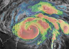 Image result for Harveya